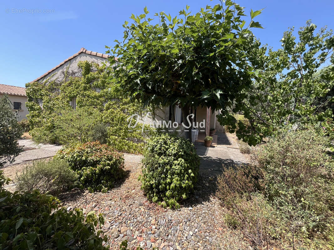 Maison t3 de plain-pied - 3 faces - garage - exterieur - photo 5