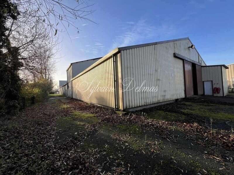 Commerce à NAZELLES-NEGRON