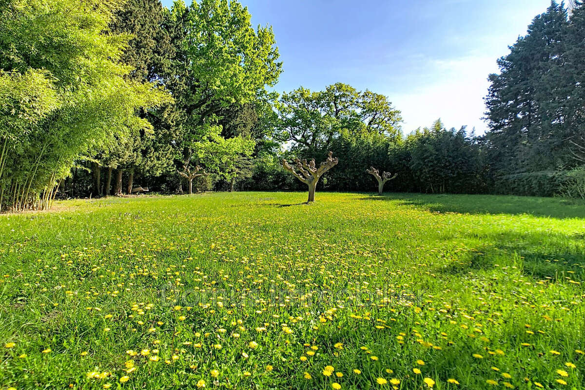 Maison à MORIERES-LES-AVIGNON
