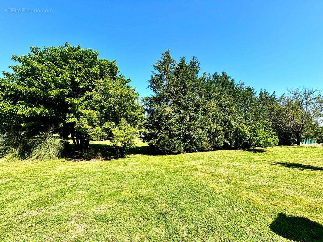 Maison à LA MENITRE