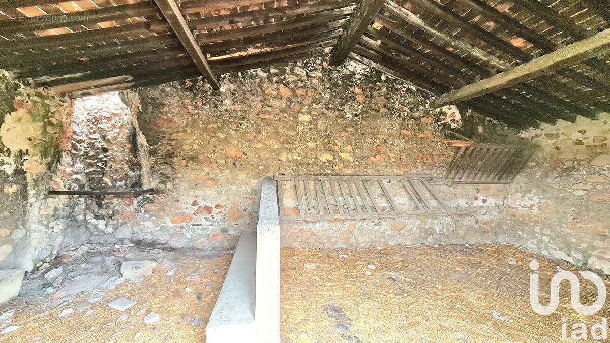 Photo 5 - Terrain à TAUTAVEL