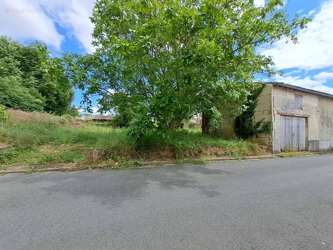 Terrain à BRIZAMBOURG