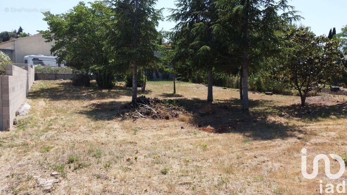 Photo 2 - Terrain à SALLES-D&#039;AUDE
