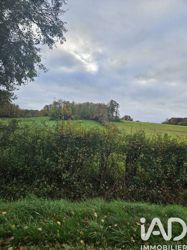 Photo 1 - Terrain à VILLENEUVE-SUR-YONNE