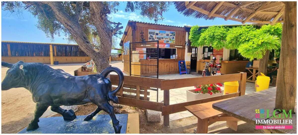En exclusivité à vendre : RANCH - Le Grau du Roi - Terrain et infrastructure - photo 7
