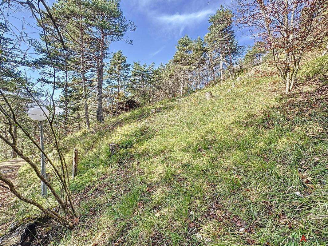 Terrain à CHATEAU-BERNARD