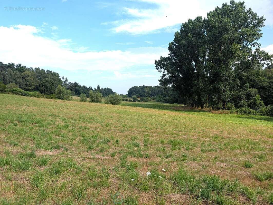 Propriété sur 27 hectares, maison 179 m2, bâtiments de 700 m2 salle de réception et 600 m2 garage - photo 10