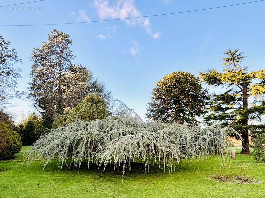 Maison à SAINT-MAGNE-DE-CASTILLON