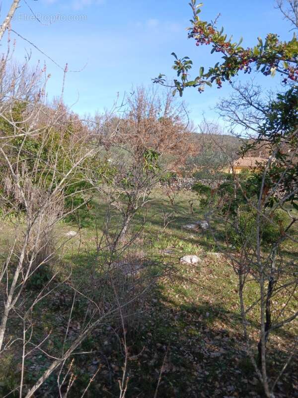 Terrain 857 m² à Gareoult  - photo 2