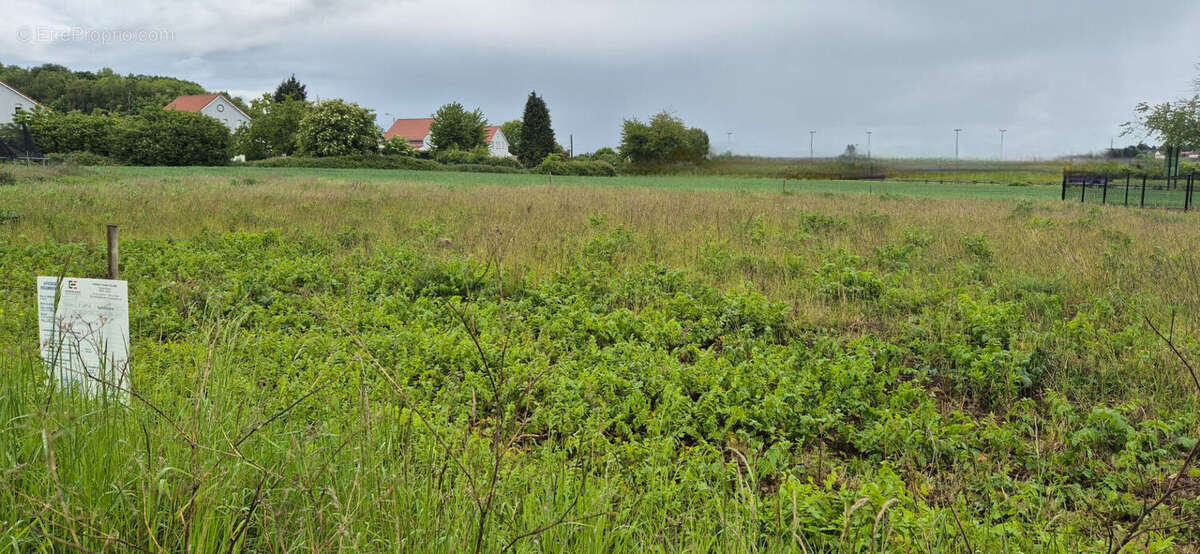 Terrain à BARLIN