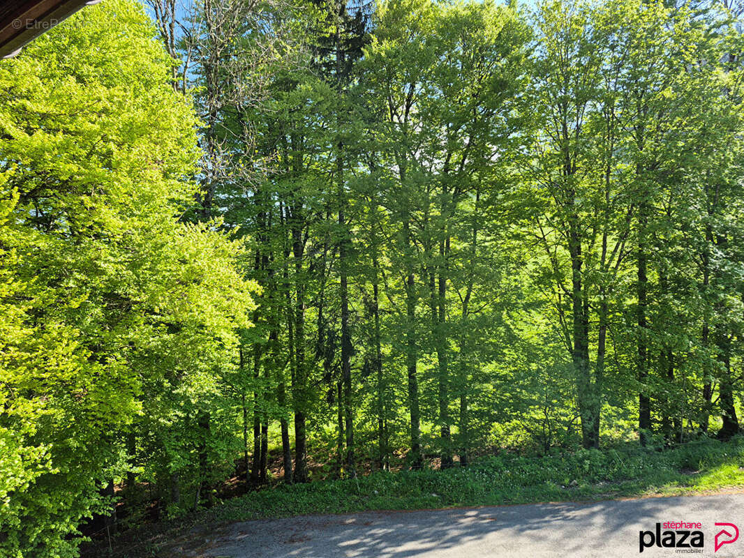 Appartement à BOGEVE