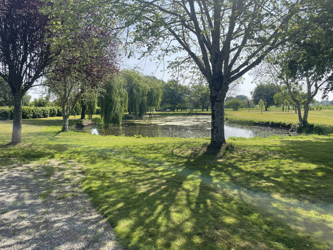 Terrain à LA GUERCHE-DE-BRETAGNE