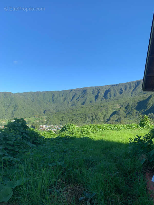 Propriétè Agricole de 22ha avec Gîte, chalet et étable aux MAKES - photo 4