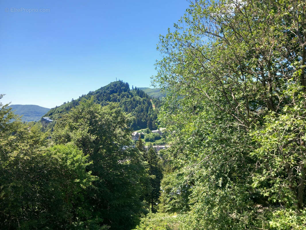 Appartement à LAVEISSIERE