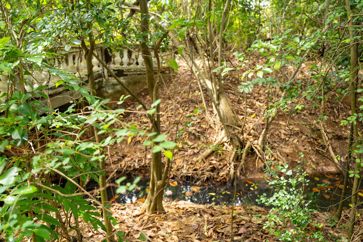 Terrain à POINTE-NOIRE