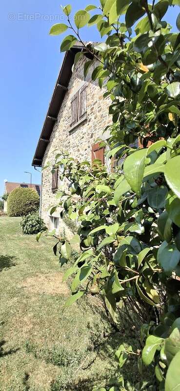 Maison à LANOUAILLE