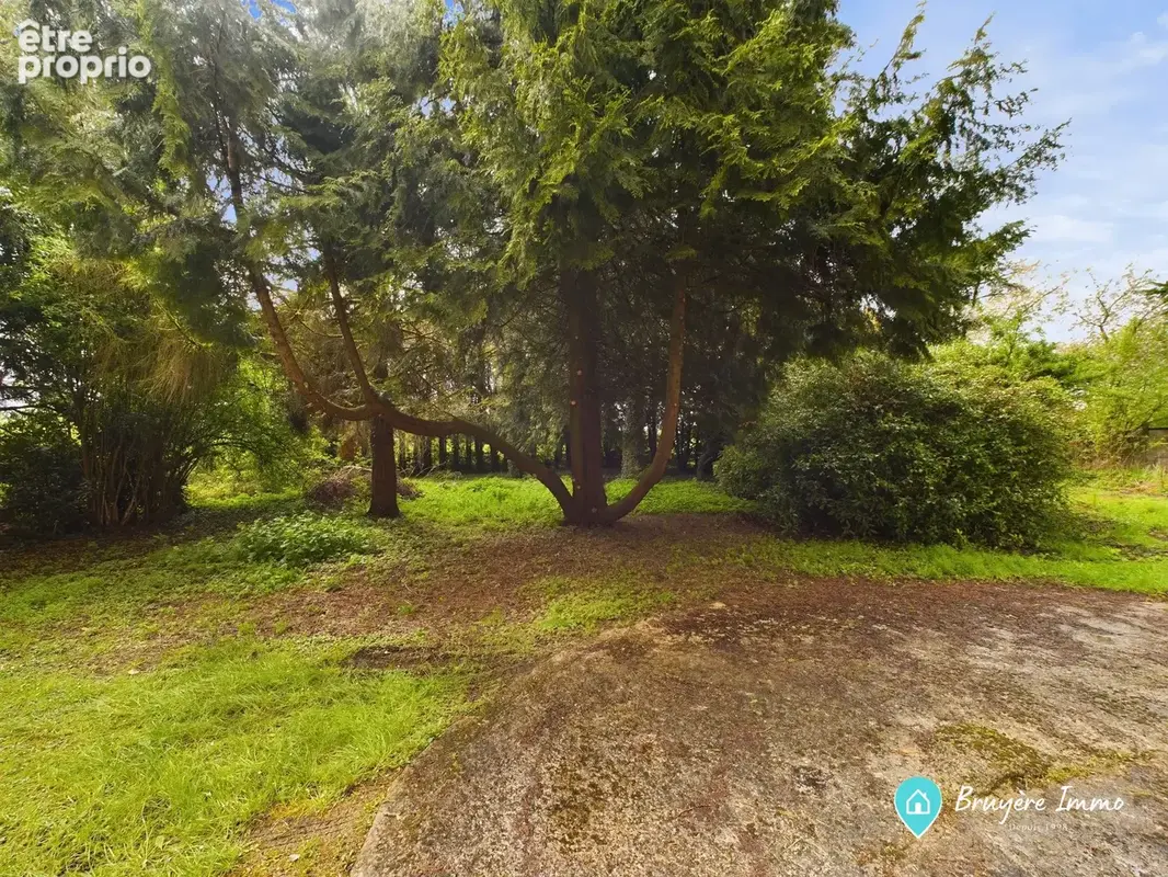 Maison 12 pièces 350 m² à vendre à Sains-Du-Nord (59177) - photo 4