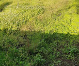 Terrain à ARTHON-EN-RETZ