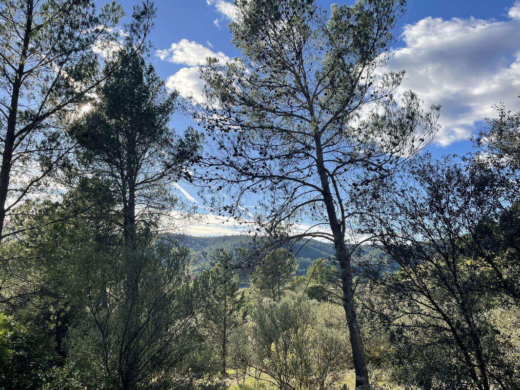 Maison à MONTFORT-SUR-ARGENS