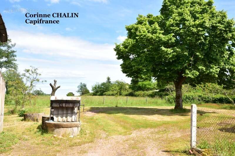 Longère à vendre 4 pièces 75m2 sur 1500m2 de terrain LIERNOLLES (03) - photo 5