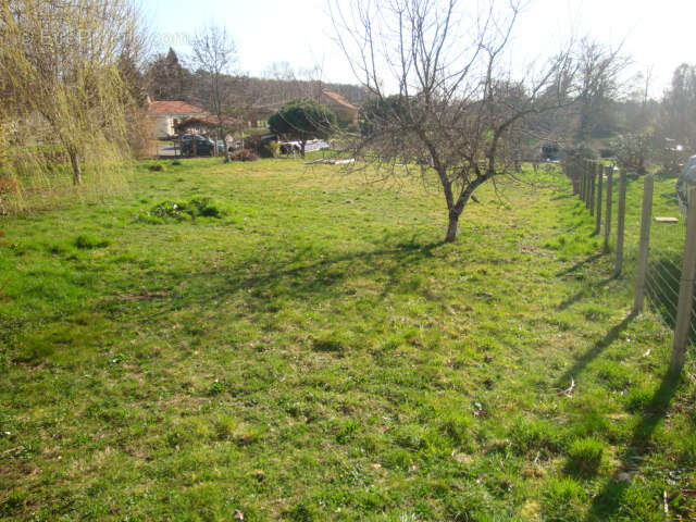 Terrain à COUZEIX