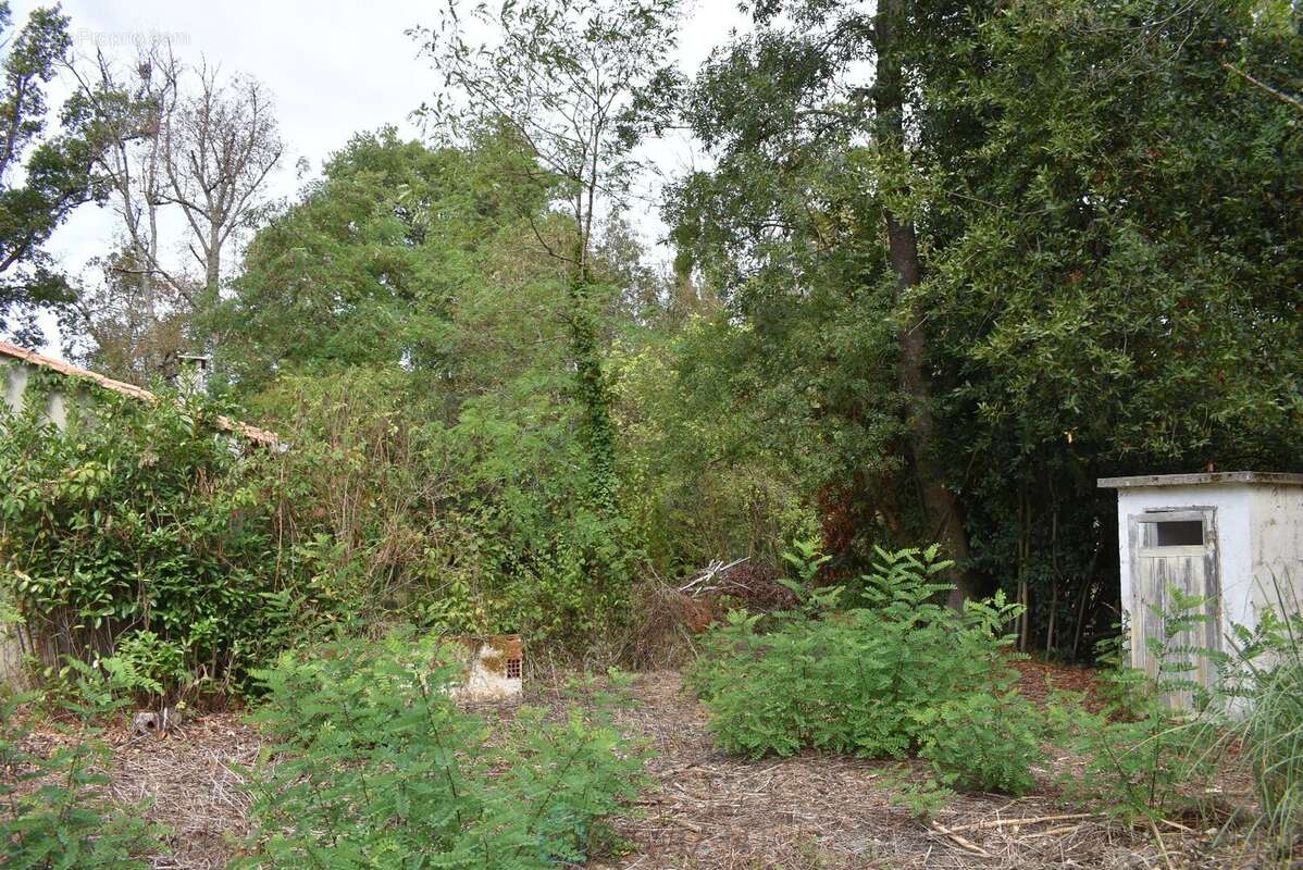 Maison à MOULIN-NEUF