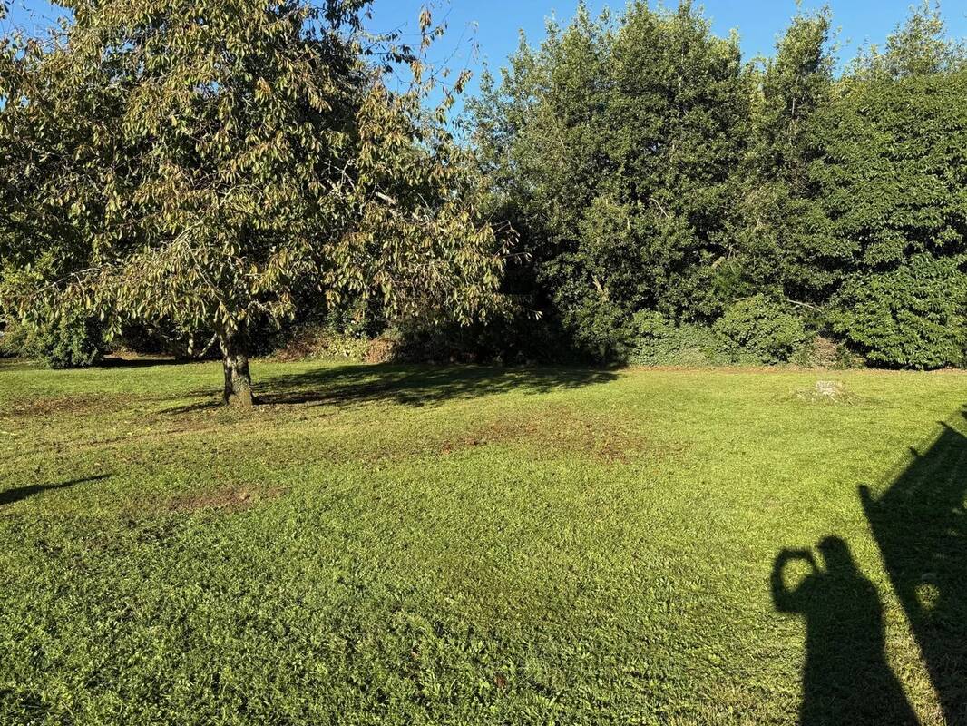 Terrain à SAINT-MARTIN-LACAUSSADE