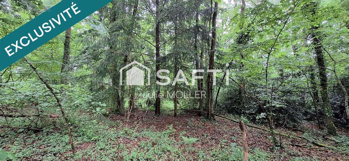 Photo 2 - Terrain à GUERET