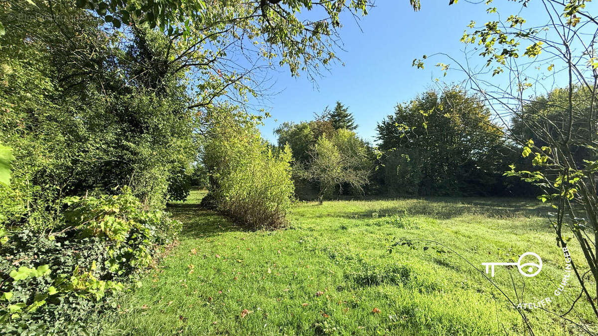 Terrain à OUZOUER-LE-MARCHE