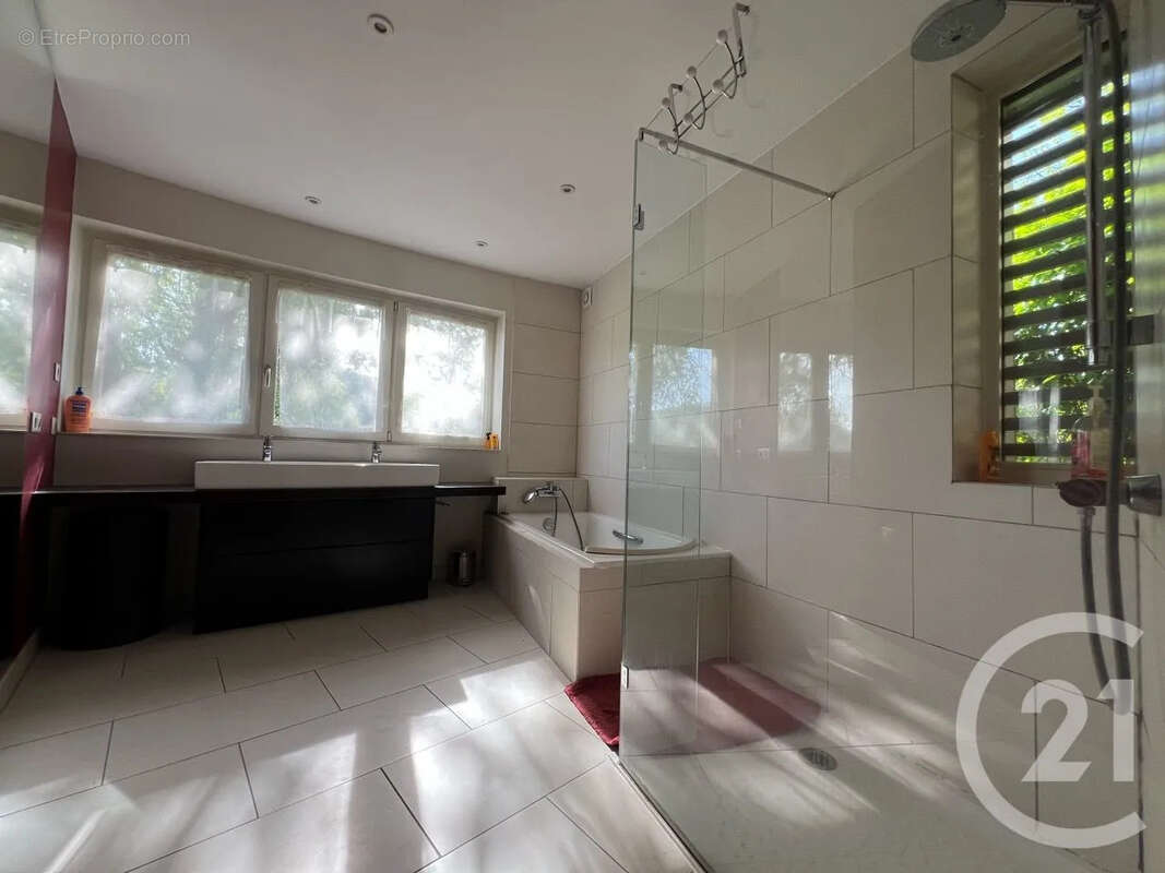 Maison 267 m² à Saint-Etienne-De-Maurs  - photo 24