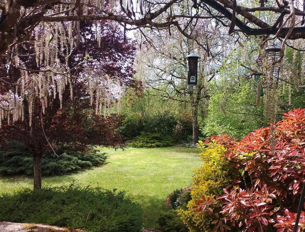 Belle demeure - photo 8
