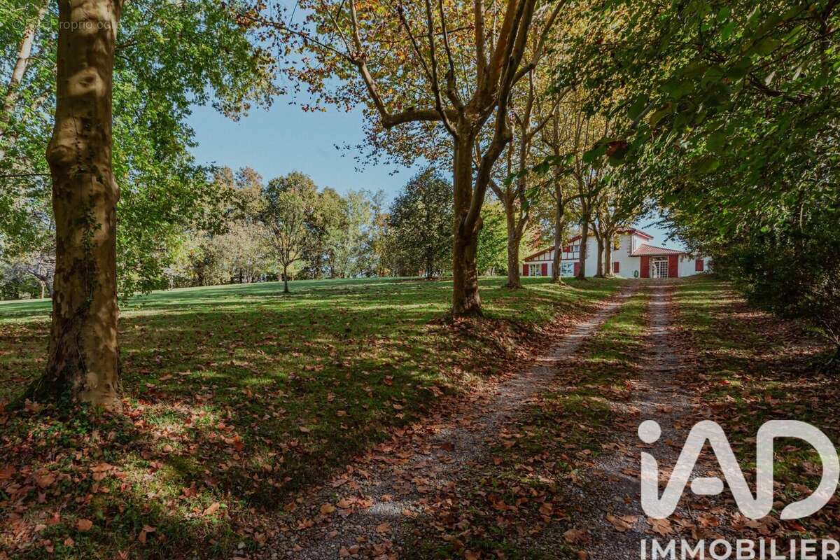 Photo 8 - Maison à URT