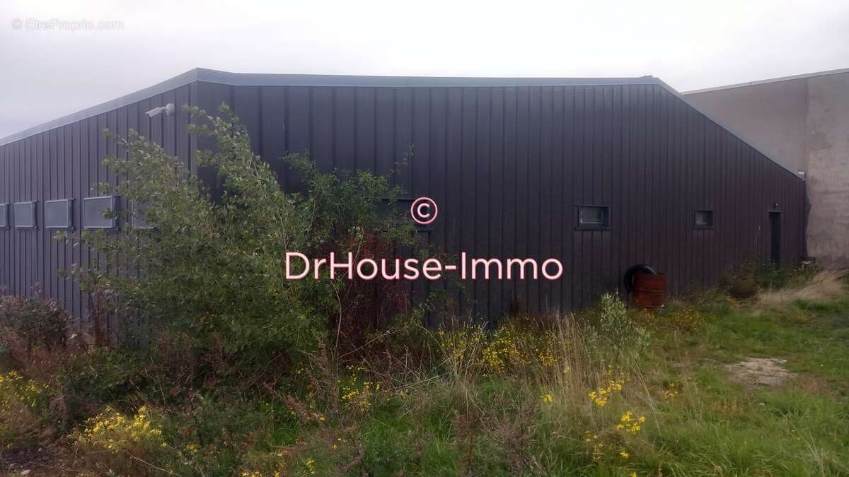 Commerce à CUSSAC-SUR-LOIRE