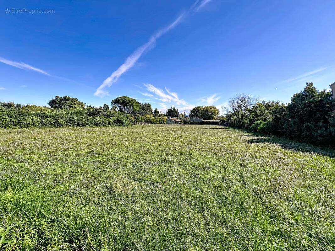 Terrain à CHATEAUNEUF-DE-GADAGNE
