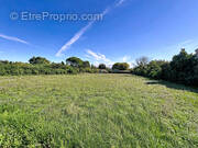 Terrain à CHATEAUNEUF-DE-GADAGNE