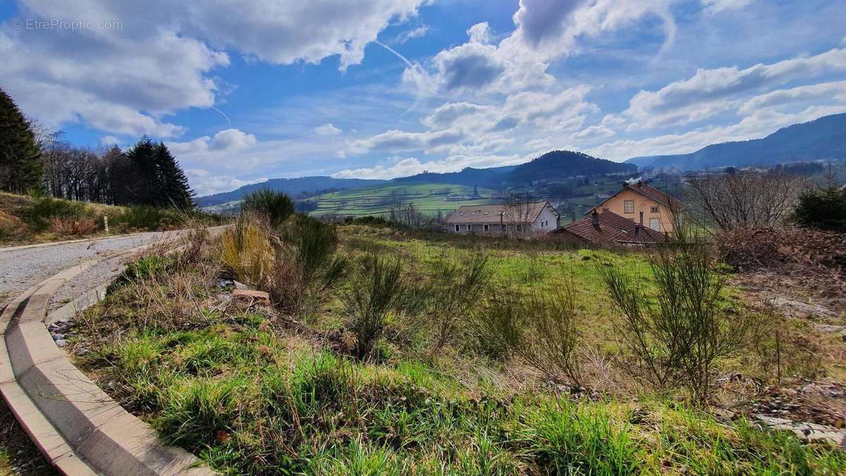 Photo 2 - Terrain à LEPANGES-SUR-VOLOGNE