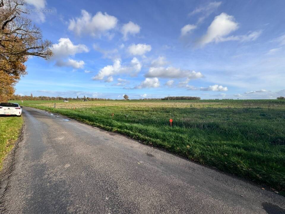 Terrain à MANDRES