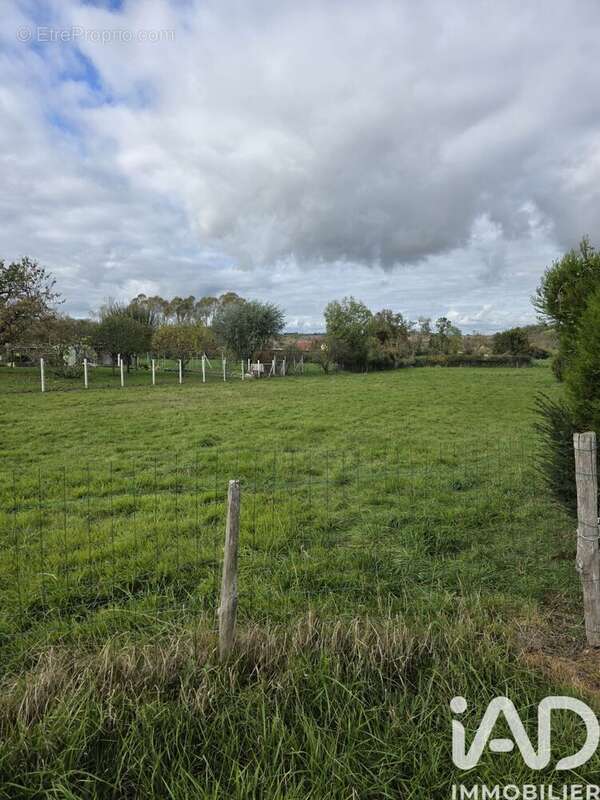 Photo 3 - Terrain à SAINT-GERAND-LE-PUY