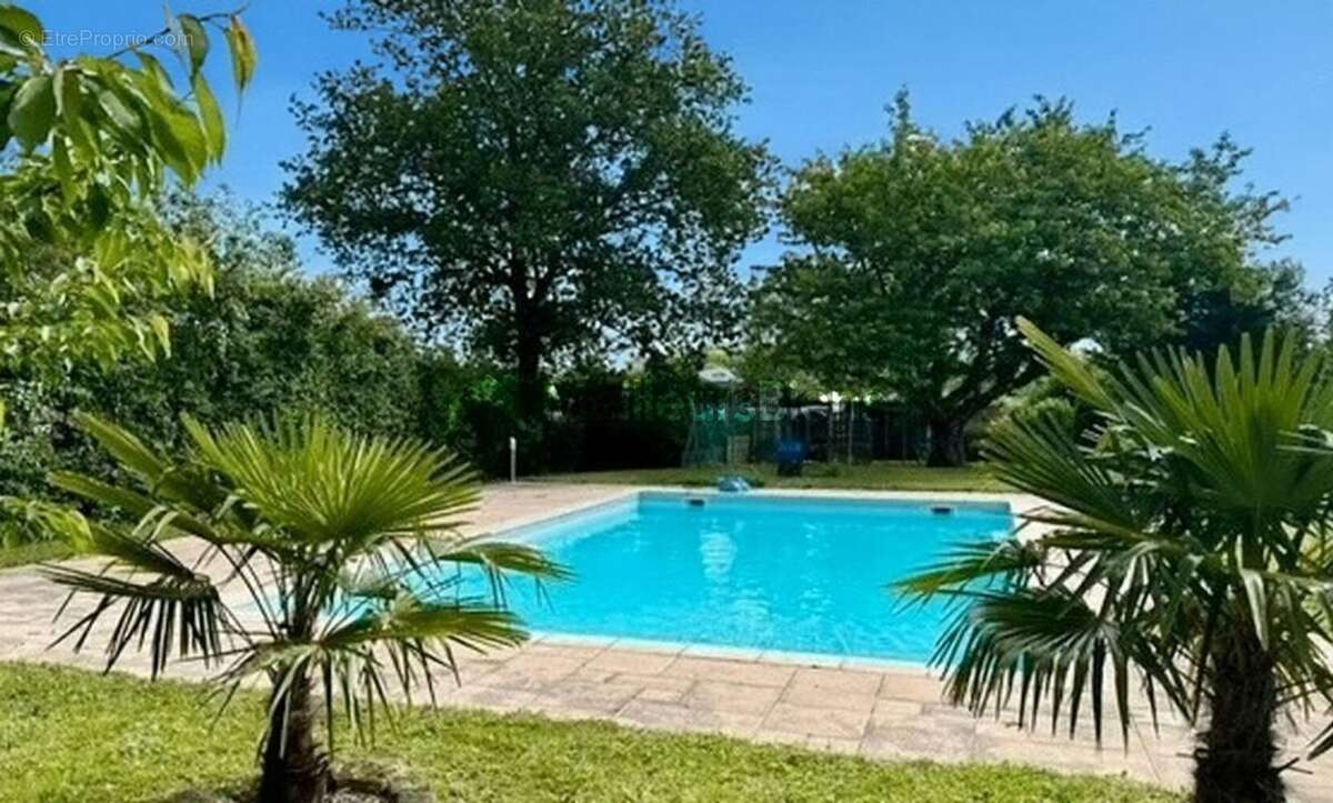 Terrain à BELLEVILLE