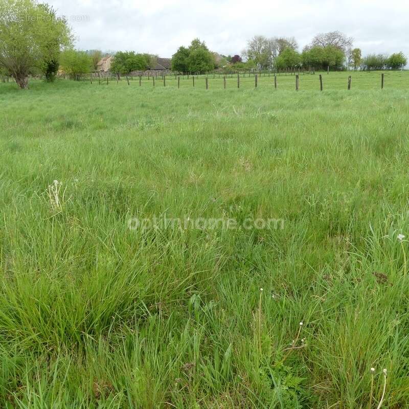 Terrain à PRECY-SOUS-THIL