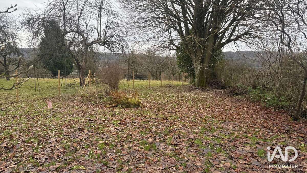 Photo 3 - Maison à MONT-SAINT-MARTIN