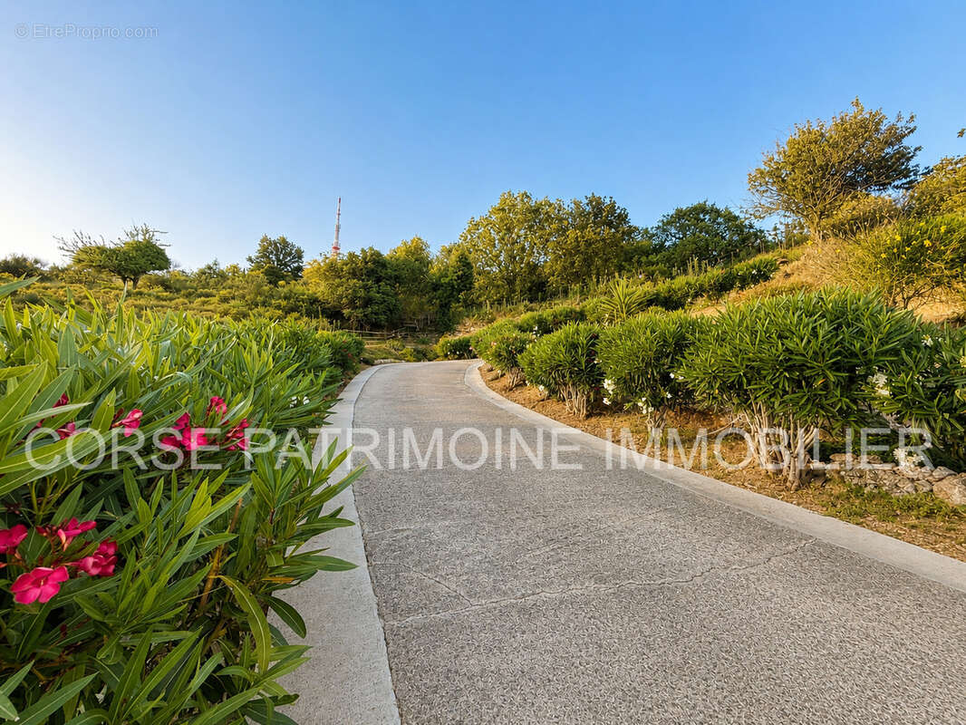 Maison avec vue dégagée sur la plaine et les montagnes - photo 22
