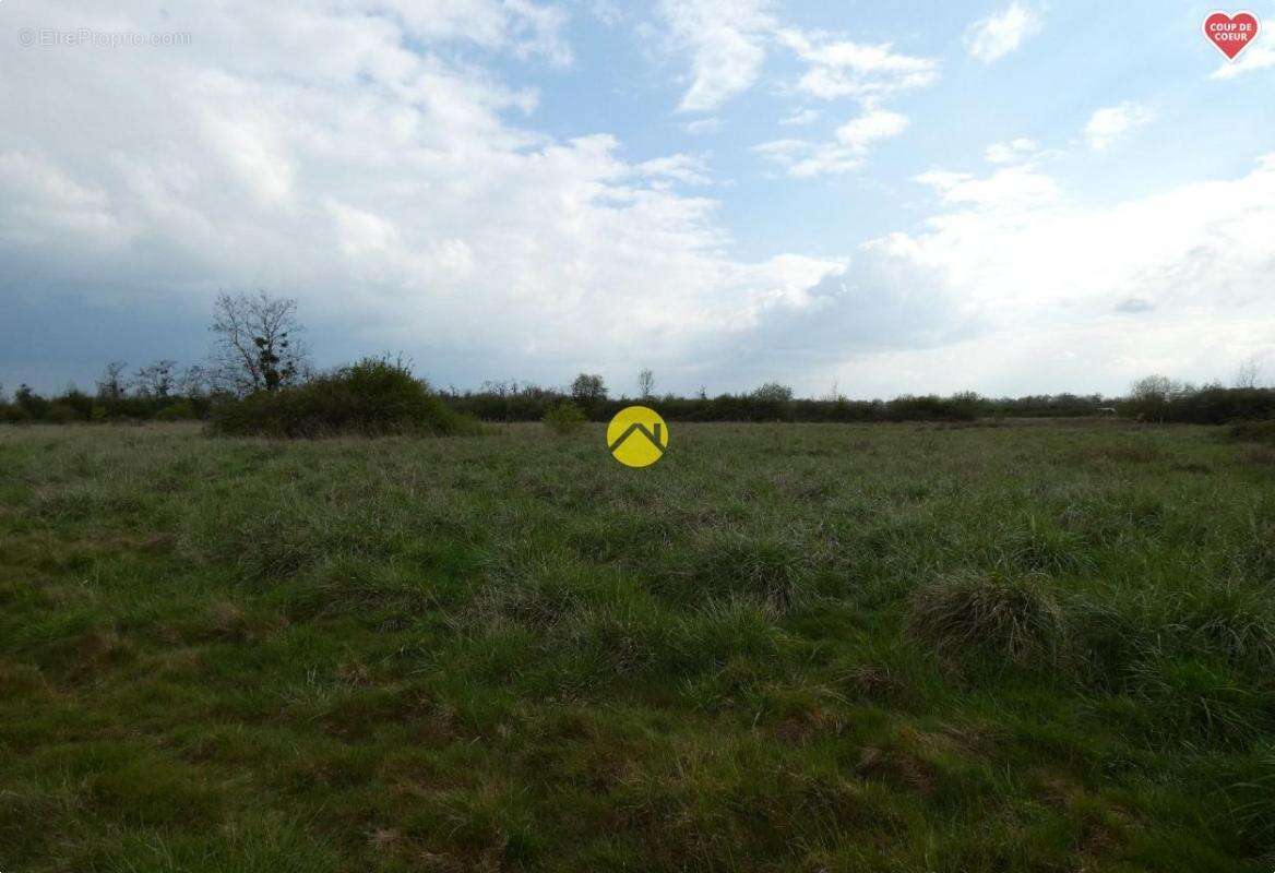 Terrain à COULLONS