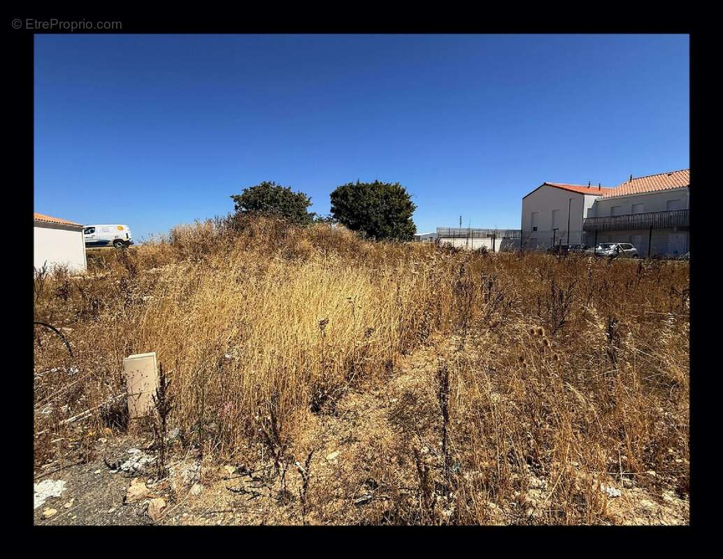 Terrain à vendre à Clavette (17220) - photo 6