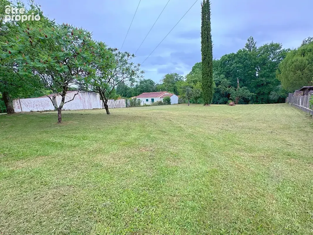 Saint-michel - maison familiale -terrain avec fort potentiel - photo 12