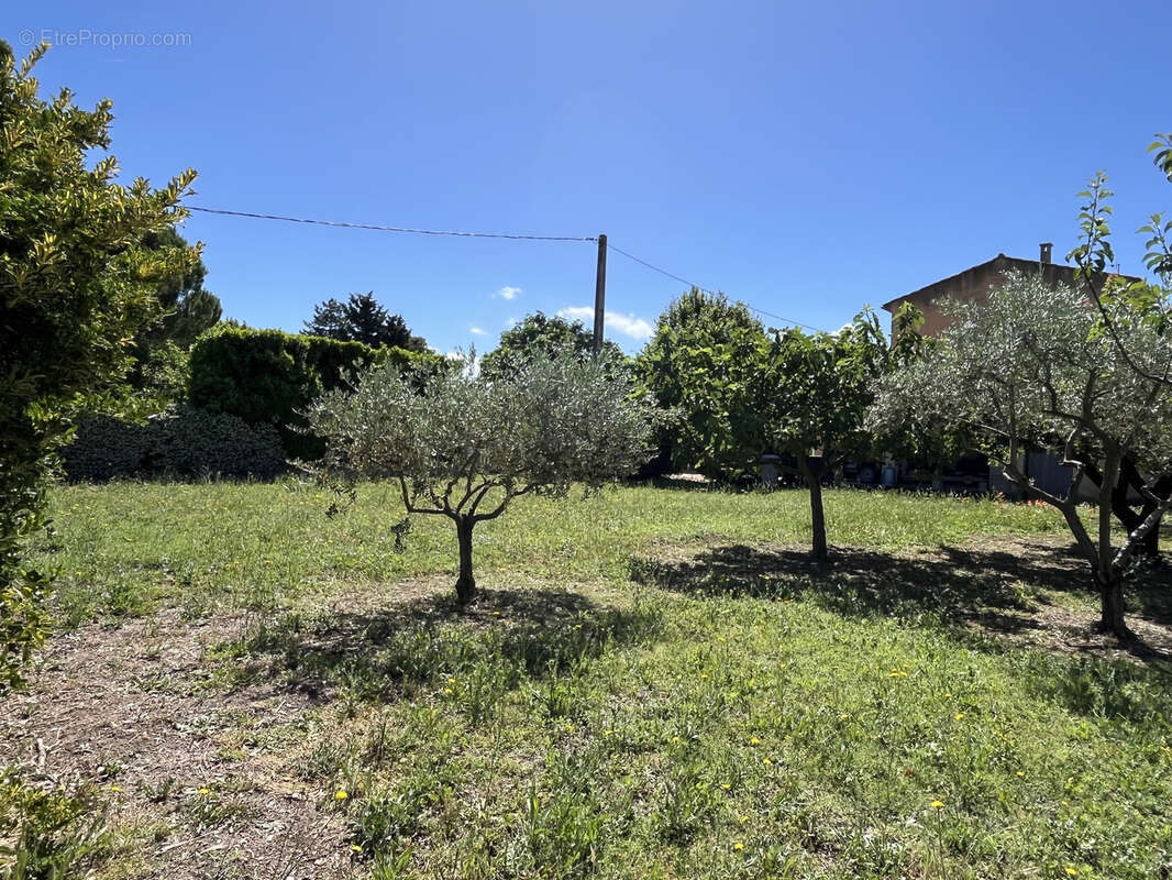 Terrain à PERNES-LES-FONTAINES