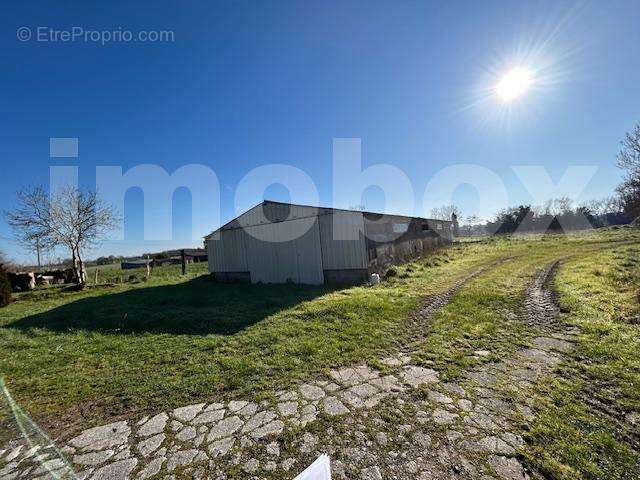 IMG_7894 (002) - Maison à LANDEMONT