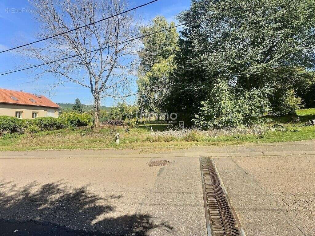 Terrain à VILLECEY-SUR-MAD