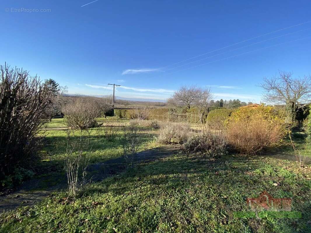 Serpaize - terrain a batir non viabilisé de 980m² - photo 6