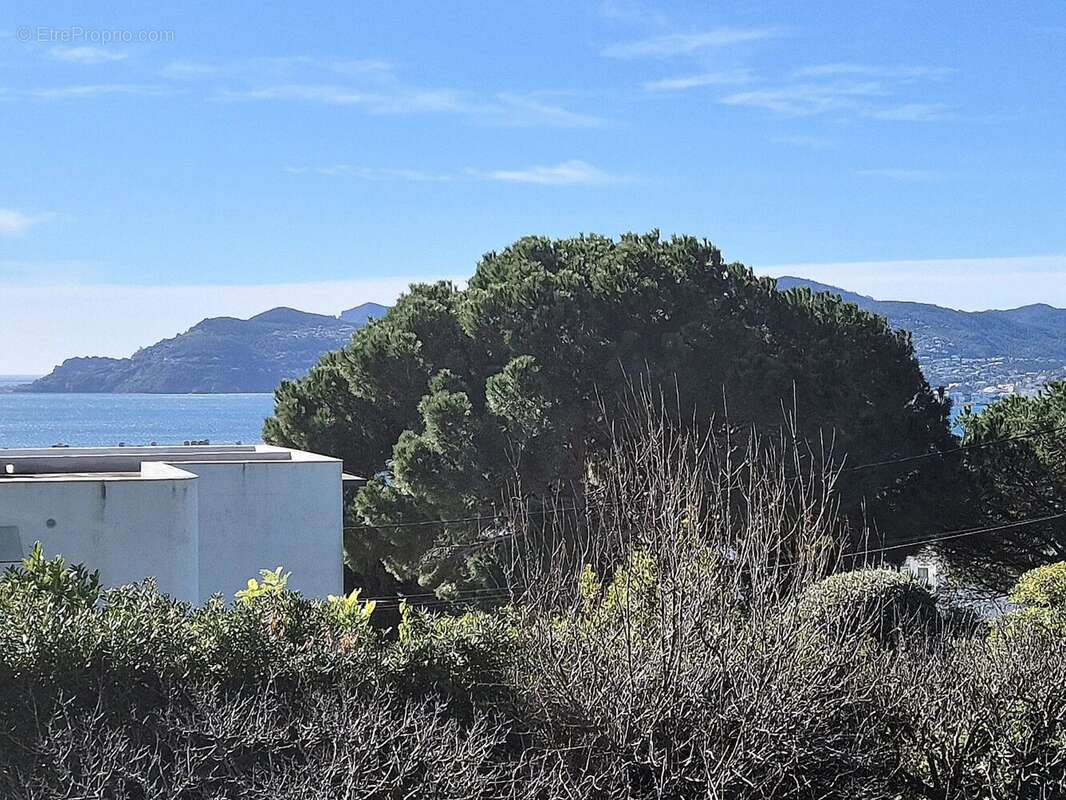 Maison à CANNES